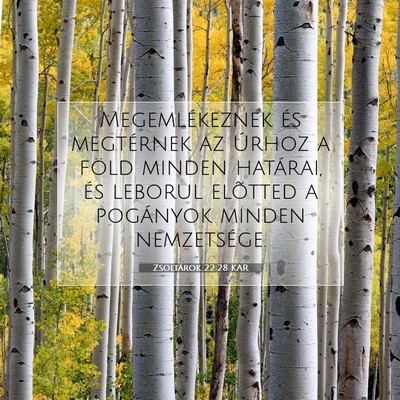 Zsoltárok 22:28 Bibliai vers magyarázata