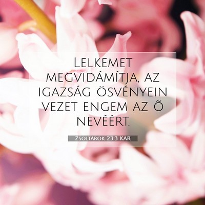 Zsoltárok 23:3 Bibliai vers magyarázata