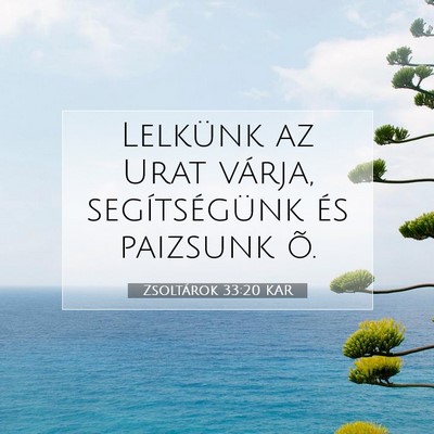 Zsoltárok 33:20 Bibliai vers magyarázata