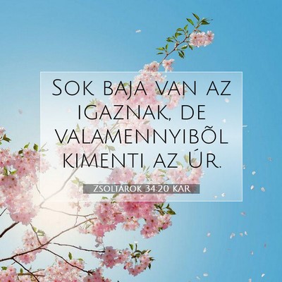 Zsoltárok 34:20 Bibliai vers magyarázata