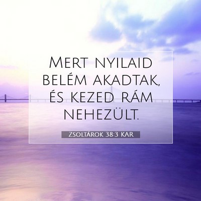 Zsoltárok 38:3 Bibliai vers magyarázata