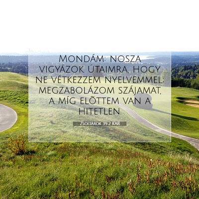 Zsoltárok 39:2 Bibliai vers magyarázata