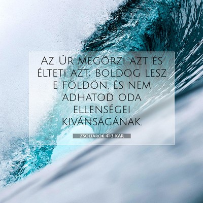 Zsoltárok 41:3 Bibliai vers magyarázata