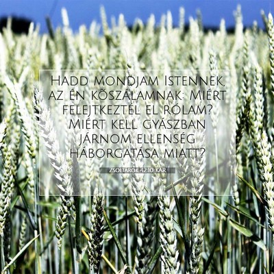 Zsoltárok 42:10 Bibliai vers magyarázata