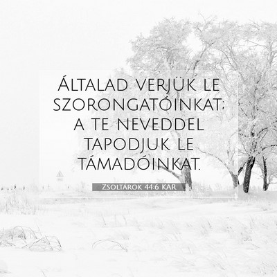 Zsoltárok 44:6 KAR Bibliai verskép