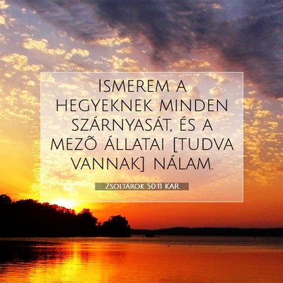 Zsoltárok 50:11 KAR Bibliai verskép