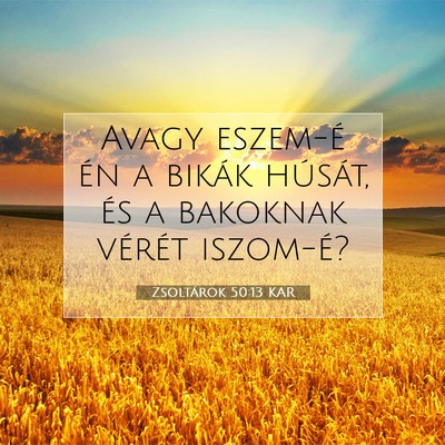 Zsoltárok 50:13 KAR Bibliai verskép