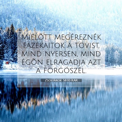 Zsoltárok 58:10 KAR Bibliai verskép