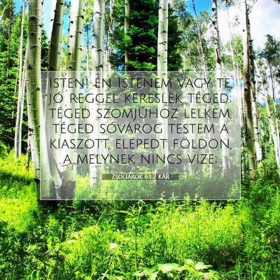 Zsoltárok 63:2 KAR Bibliai verskép