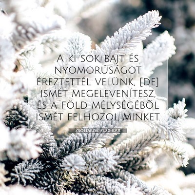 Zsoltárok 71:20 Bibliai vers magyarázata