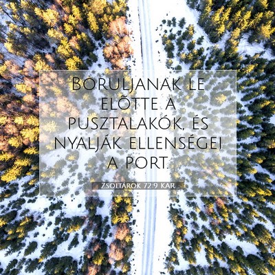Zsoltárok 72:9 KAR Bibliai verskép