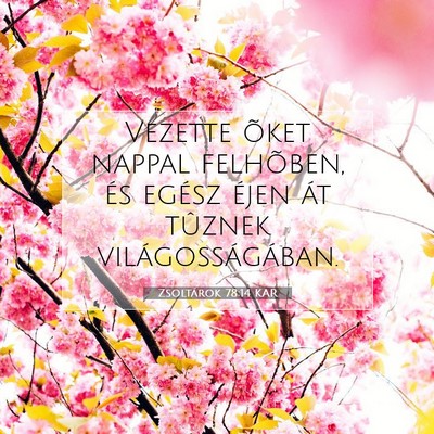 Zsoltárok 78:14 Bibliai vers magyarázata