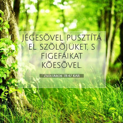Zsoltárok 78:47 Bibliai vers magyarázata