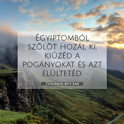 Zsoltárok 80:9 KAR Bibliai verskép