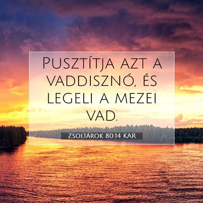 Zsoltárok 80:14 KAR Bibliai verskép