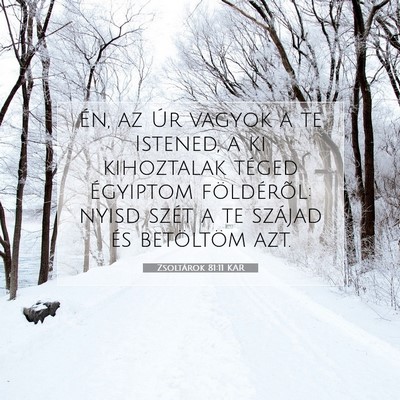 Zsoltárok 81:11 Bibliai vers magyarázata