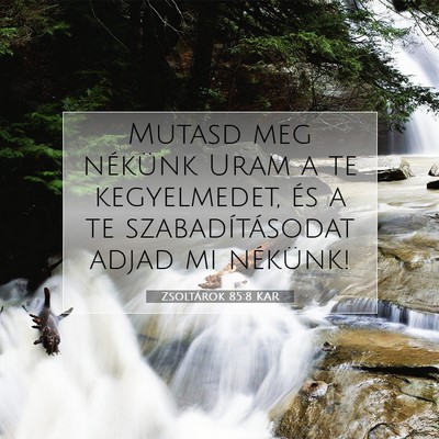 Zsoltárok 85:8 Bibliai vers magyarázata