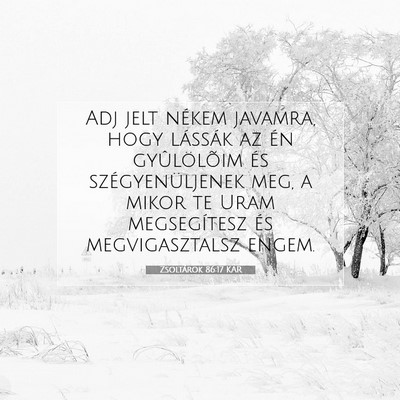 Zsoltárok 86:17 Bibliai vers magyarázata