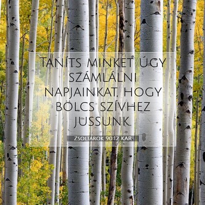 Zsoltárok 90:12 KAR Bibliai verskép