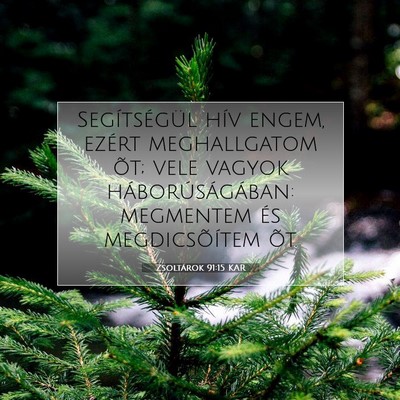 Zsoltárok 91:15 KAR Bibliai verskép
