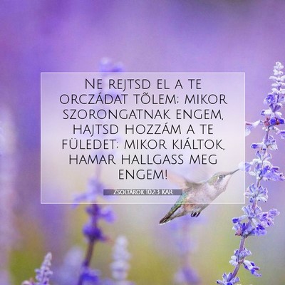 Zsoltárok 102:3 Bibliai vers magyarázata