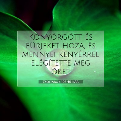 Zsoltárok 105:40 KAR Bibliai verskép