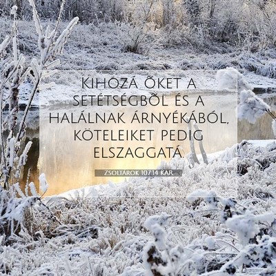 Zsoltárok 107:14 KAR Bibliai verskép
