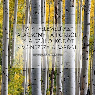 Zsoltárok 113:7 Bibliai vers magyarázata