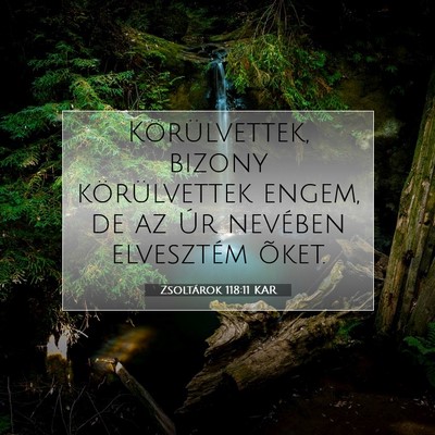 Zsoltárok 118:11 Bibliai vers magyarázata