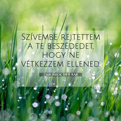 Zsoltárok 119:11 KAR Bibliai verskép