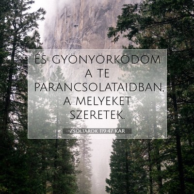 Zsoltárok 119:47 KAR Bibliai verskép