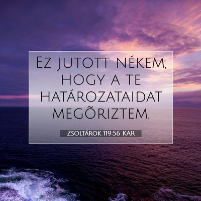 Zsoltárok 119:56 Bibliai vers magyarázata