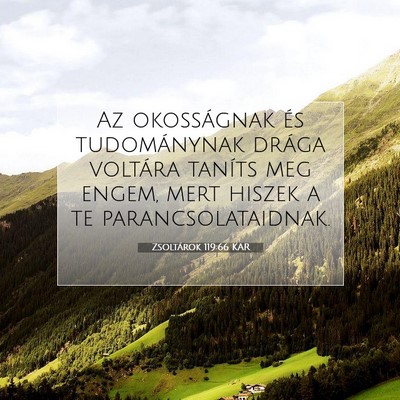 Zsoltárok 119:66 Bibliai vers magyarázata