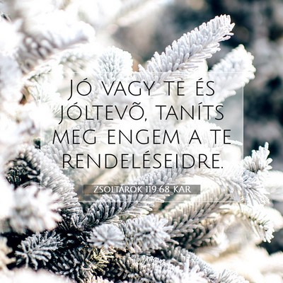 Zsoltárok 119:68 KAR Bibliai verskép