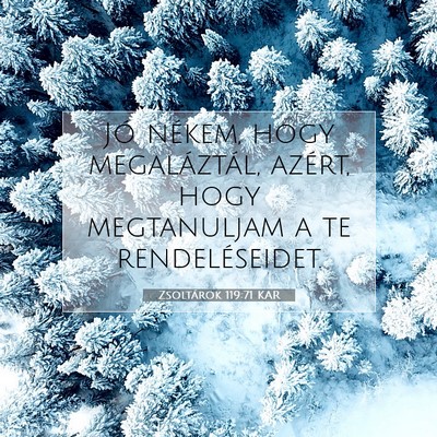 Zsoltárok 119:71 Bibliai vers magyarázata