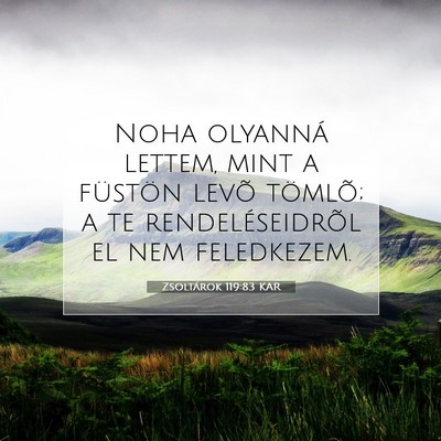 Zsoltárok 119:83 Bibliai vers magyarázata
