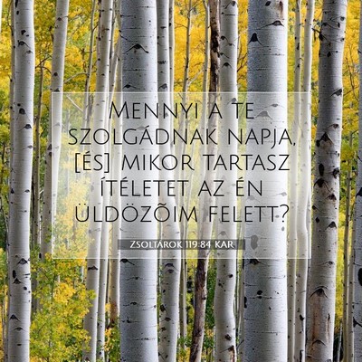 Zsoltárok 119:84 Bibliai vers magyarázata