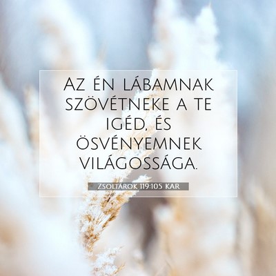 Zsoltárok 119:105 Bibliai vers magyarázata