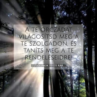 Zsoltárok 119:135 KAR Bibliai verskép