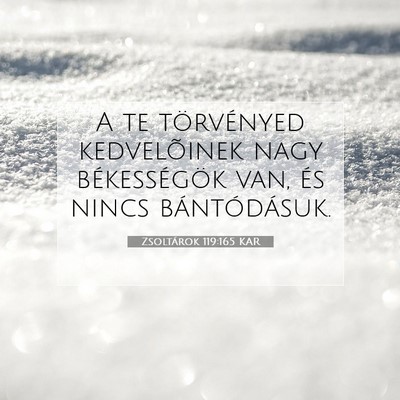 Zsoltárok 119:165 Bibliai vers magyarázata