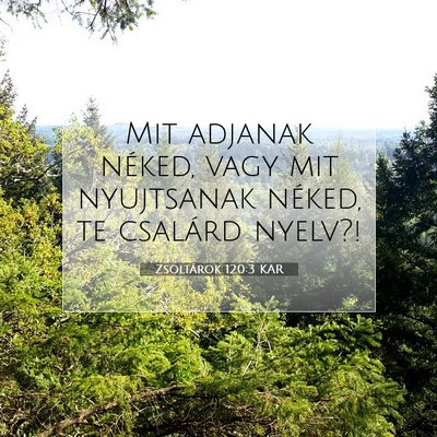 Zsoltárok 120:3 Bibliai vers magyarázata