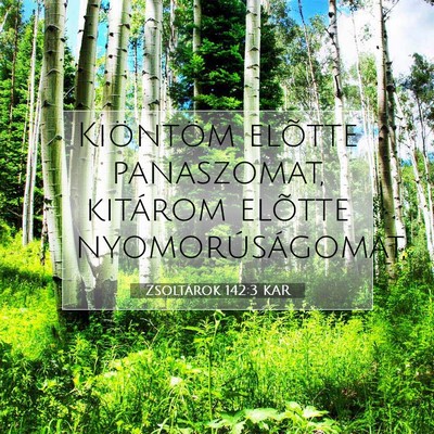 Zsoltárok 142:3 Bibliai vers magyarázata