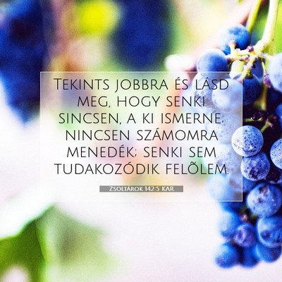Zsoltárok 142:5 KAR Bibliai verskép