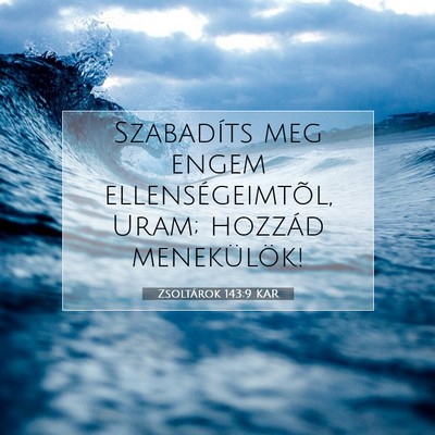 Zsoltárok 143:9 Bibliai vers magyarázata