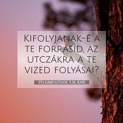 Példabeszédek 5:16 KAR Bibliai verskép