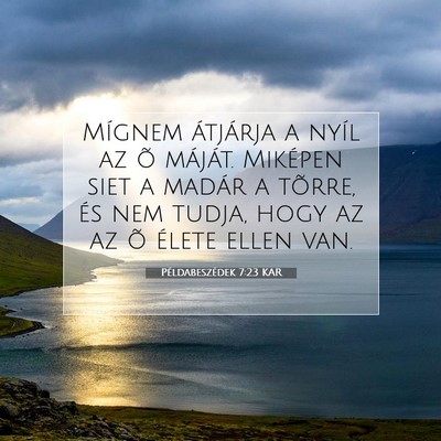 Példabeszédek 7:23 KAR Bibliai verskép