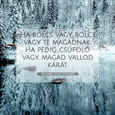 Példabeszédek 9:12 KAR Bibliai verskép