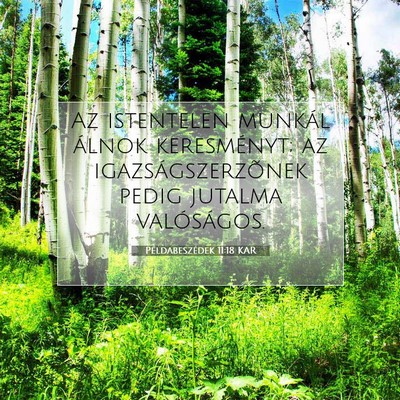 Példabeszédek 11:18 KAR Bibliai verskép