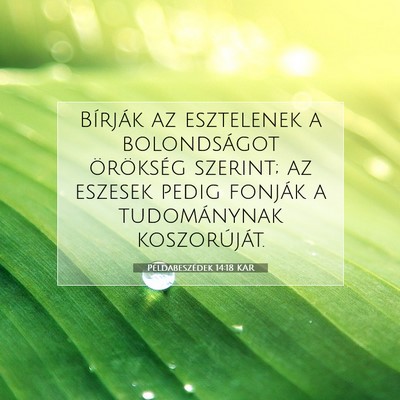 Példabeszédek 14:18 KAR Bibliai verskép