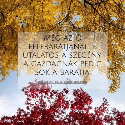 Példabeszédek 14:20 KAR Bibliai verskép
